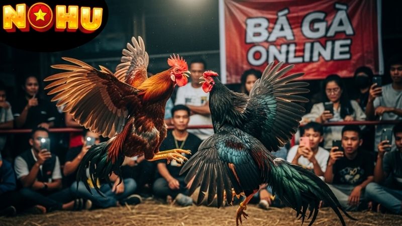 Cách tham gia gà đá trực tiếp trường Thomo online